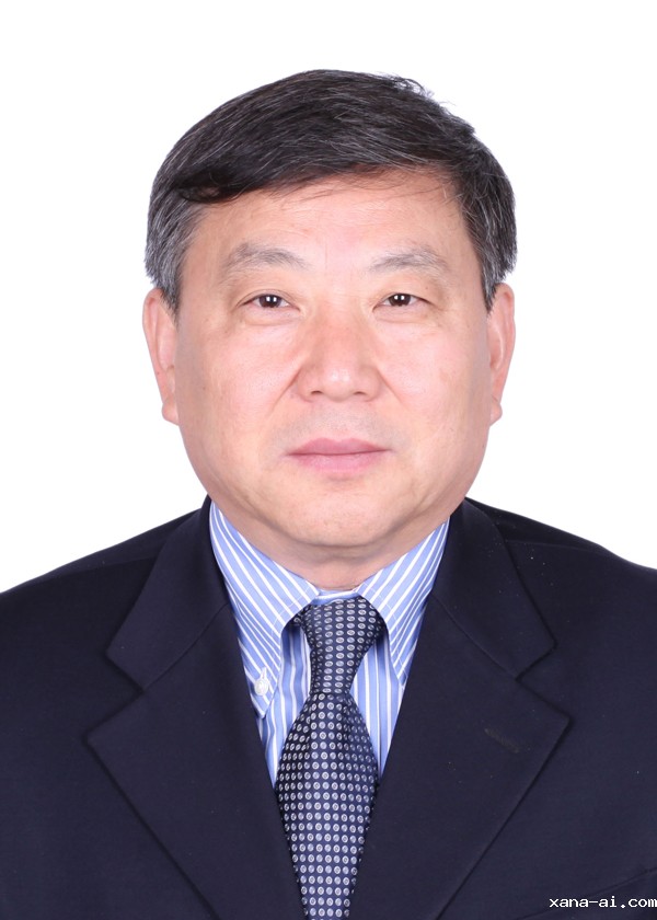 张喜刚  简介